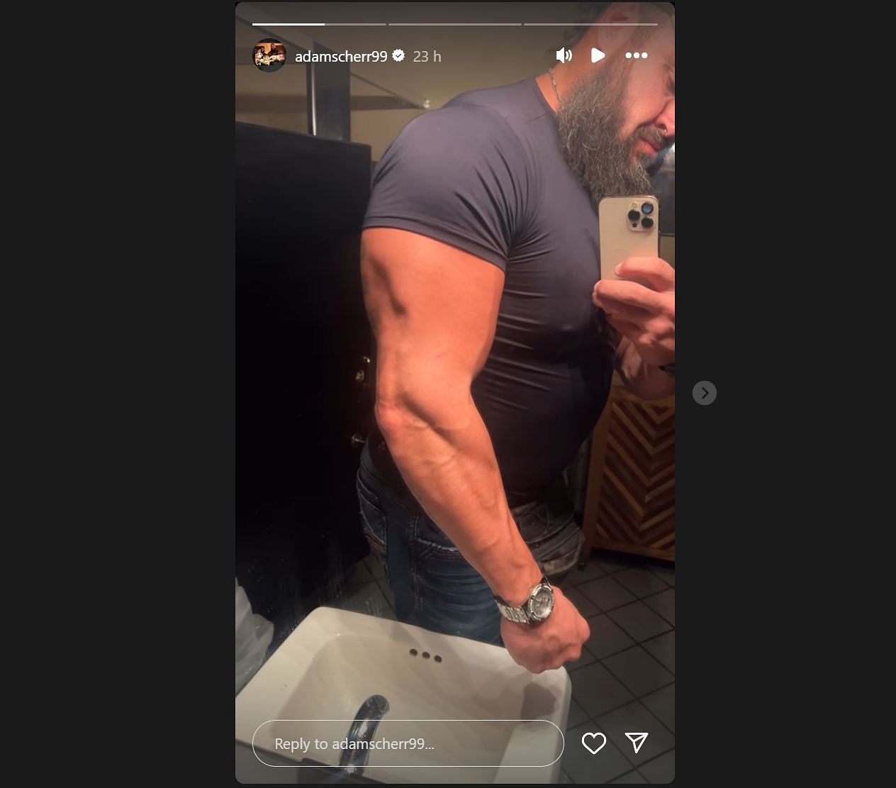 Screengrab of Braun Strowman&#039;s Instagram story. [Image credits: Braun&#039;s official Instagram handle]