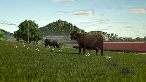 Farming Simulator 25: How and what to feed your cows for maximum produce