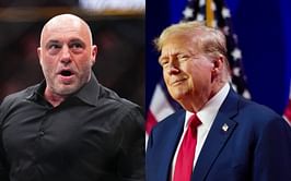 Donald Trump's latest conversation with Elon Musk could see Joe Rogan in the White House, says the President-elect's son