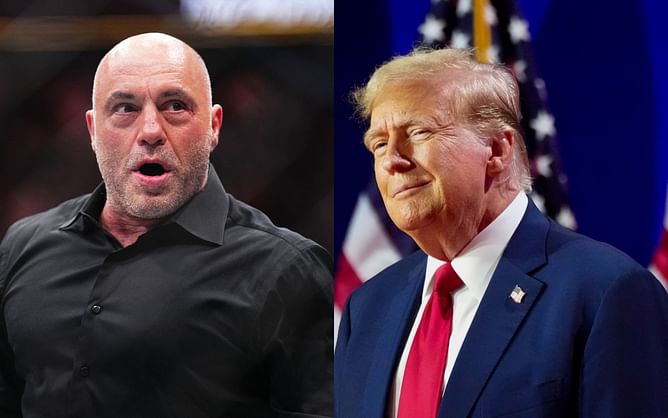 Donald Trump's latest conversation with Elon Musk could see Joe Rogan in the White House, says the President-elect's son