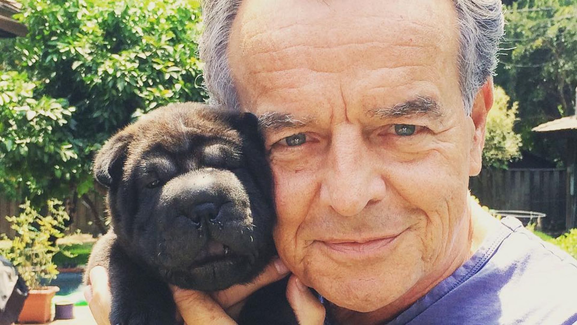 Ray Wise plays Ian Ward on The Young and the Restless (Image via Instagram/@ therealraywise)