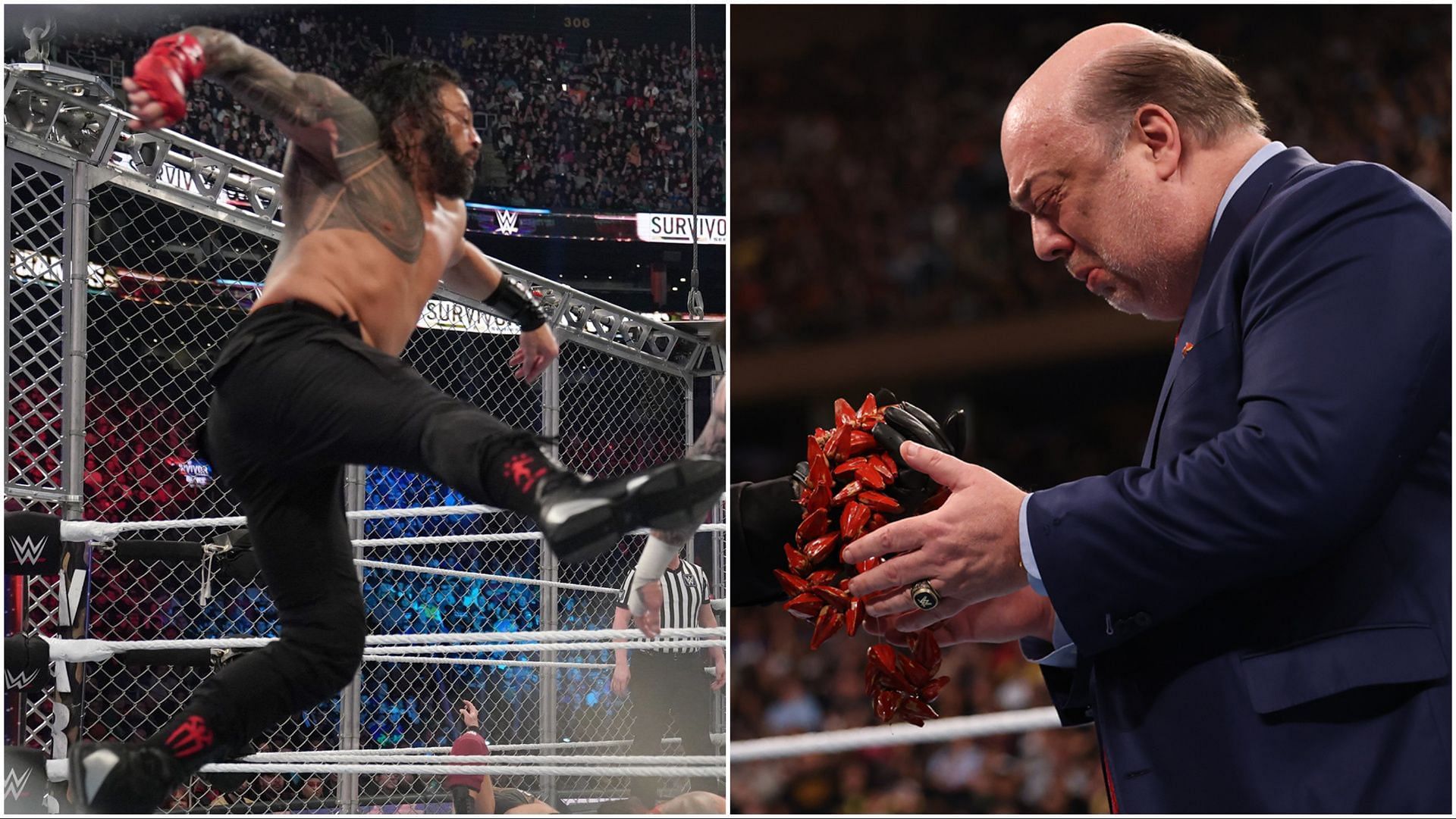 Roman Reigns and Paul Heyman in action for WWE