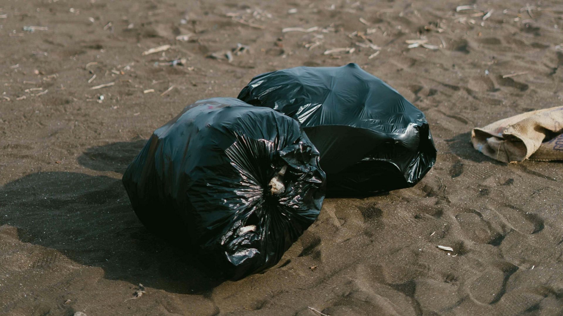 The Norrises were seen with large trash bags (representative image via pexels)