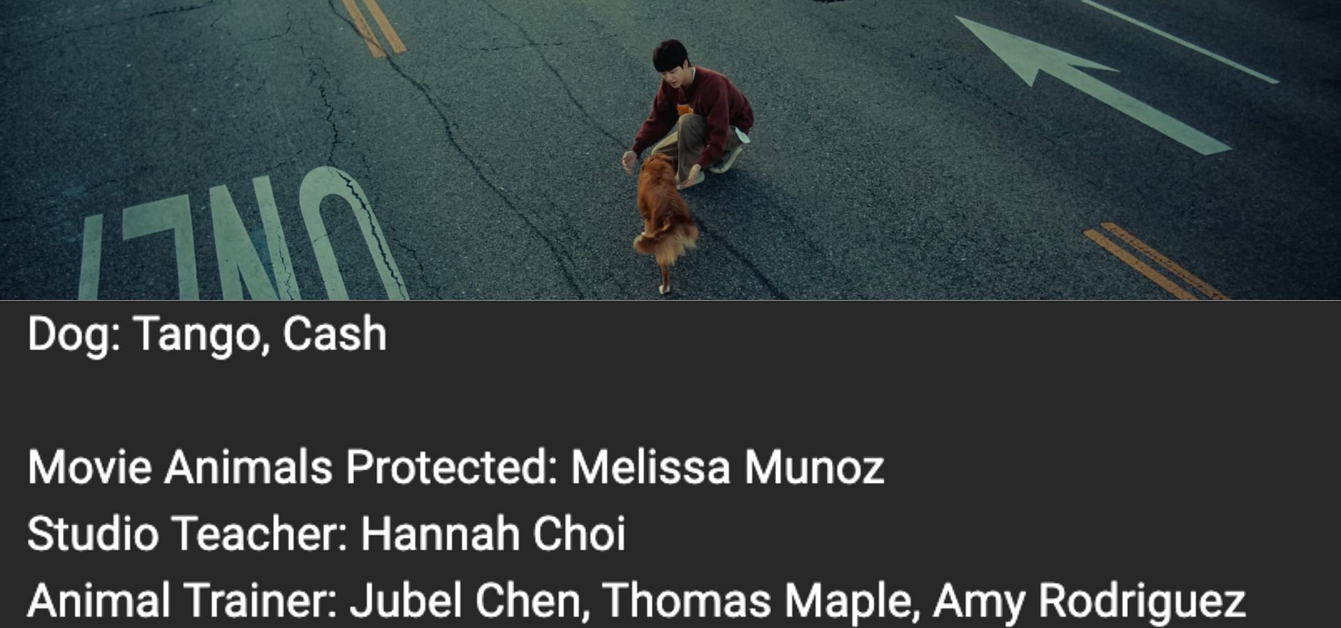 Animal protection credit below the MV. (Image via YouTube/HYBE LABELS)