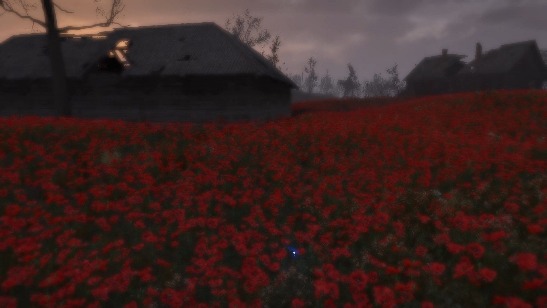 Drink plenty of energy drinks to stay awake in the Poppy Field (Image via GSC Game World)