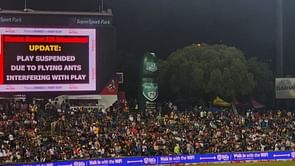 5 weird reasons that interrupted play during a cricket match ft. flying ants