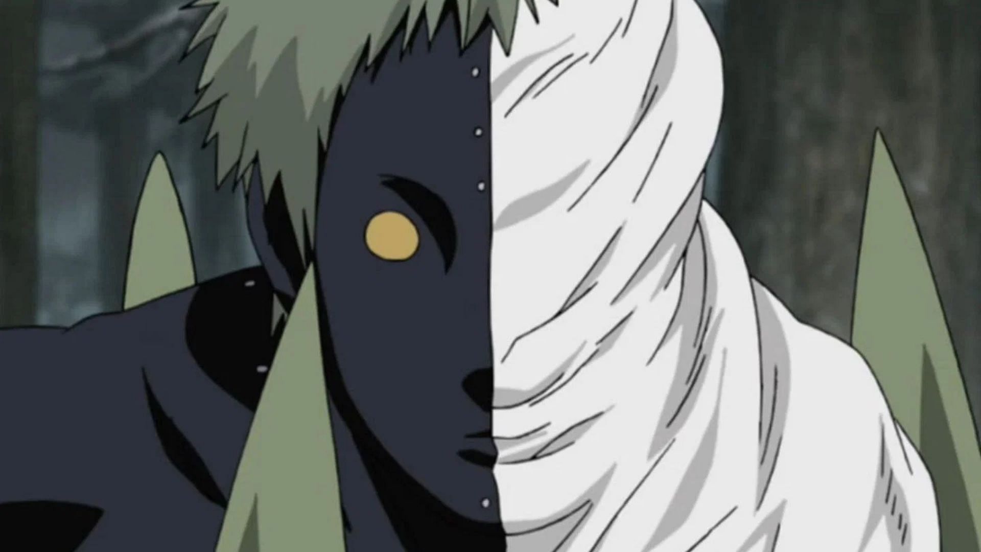 Black Zetsu as shown in the anime series (Image via Studio Pierrot)