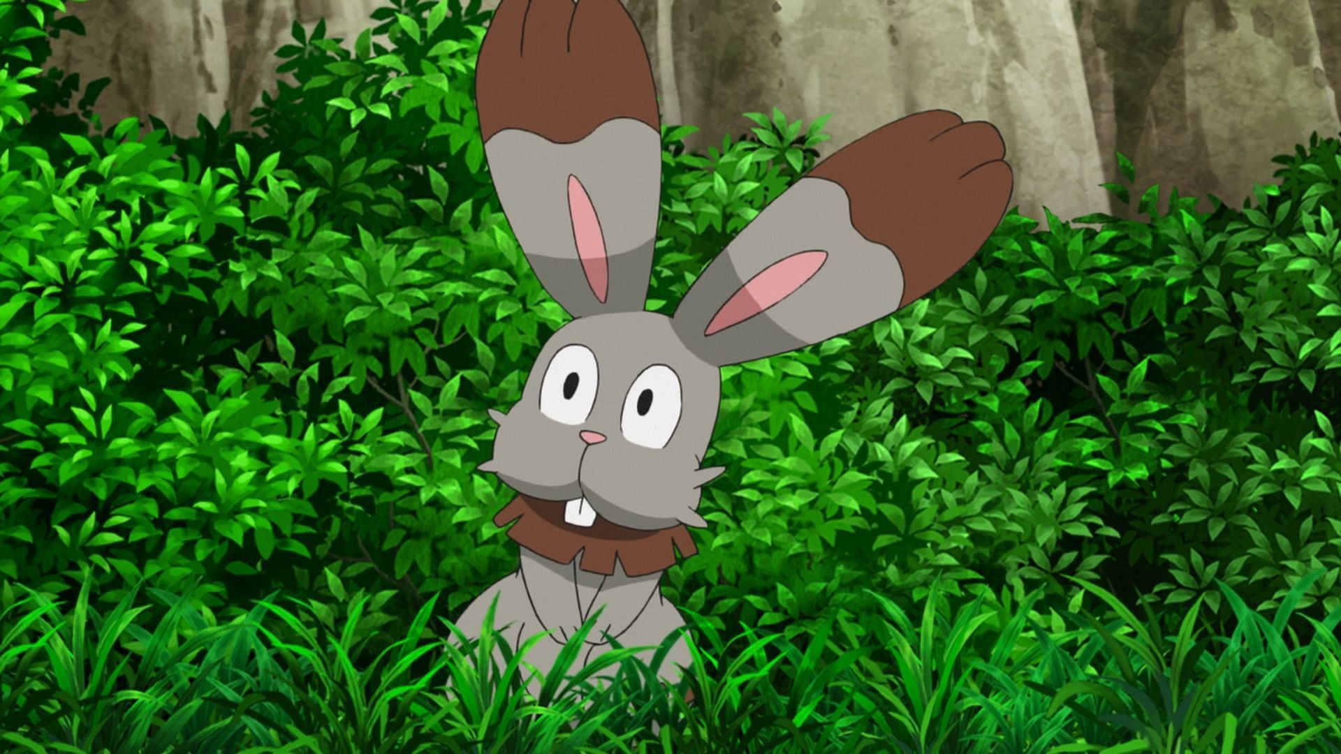 Bunnelby evolves into Diggersby with 50 Bunnelby candies (Image via The Pokemon Company)