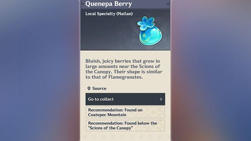 Quenepa Berry is a Natlan local specialty (Image via HoYoverse)