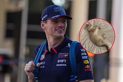 "Donatello. Donut. That’s how Penelope Kvyat calls him": Max Verstappen adorably talks about his new cat