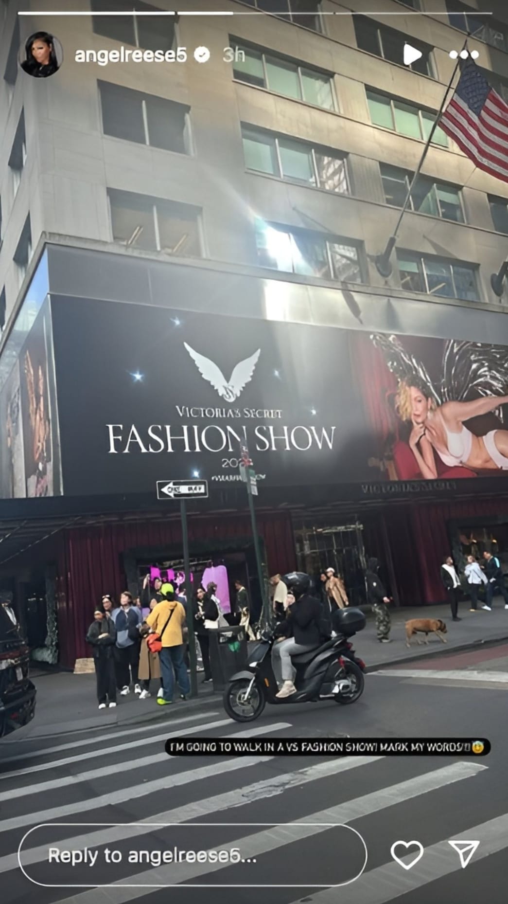 Angel Reese balances basketball with new dream, vows to walk in