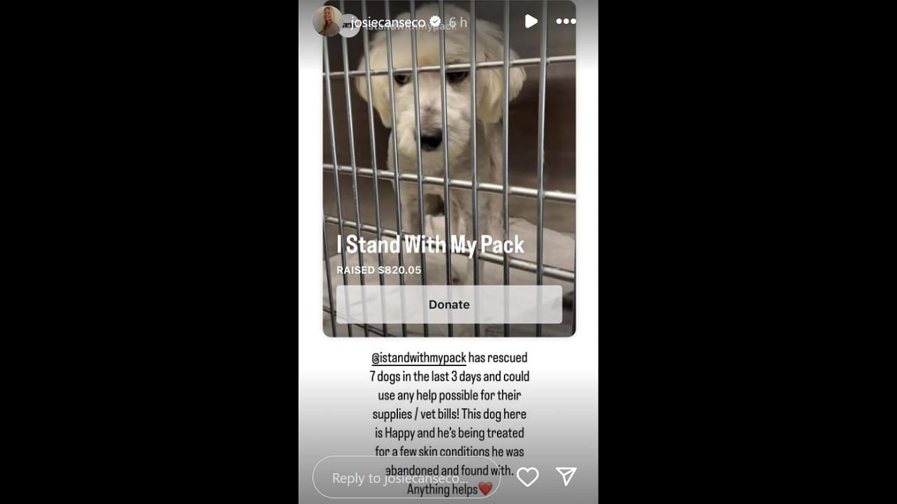 Screenshot of Canseco&#039;s Instagram Story (Image from @josiecanseco IG Stories)