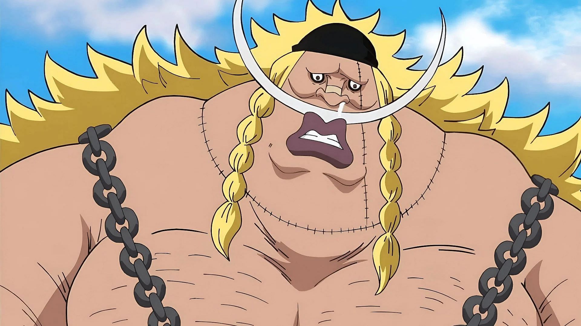 Weevil has Whitebeard