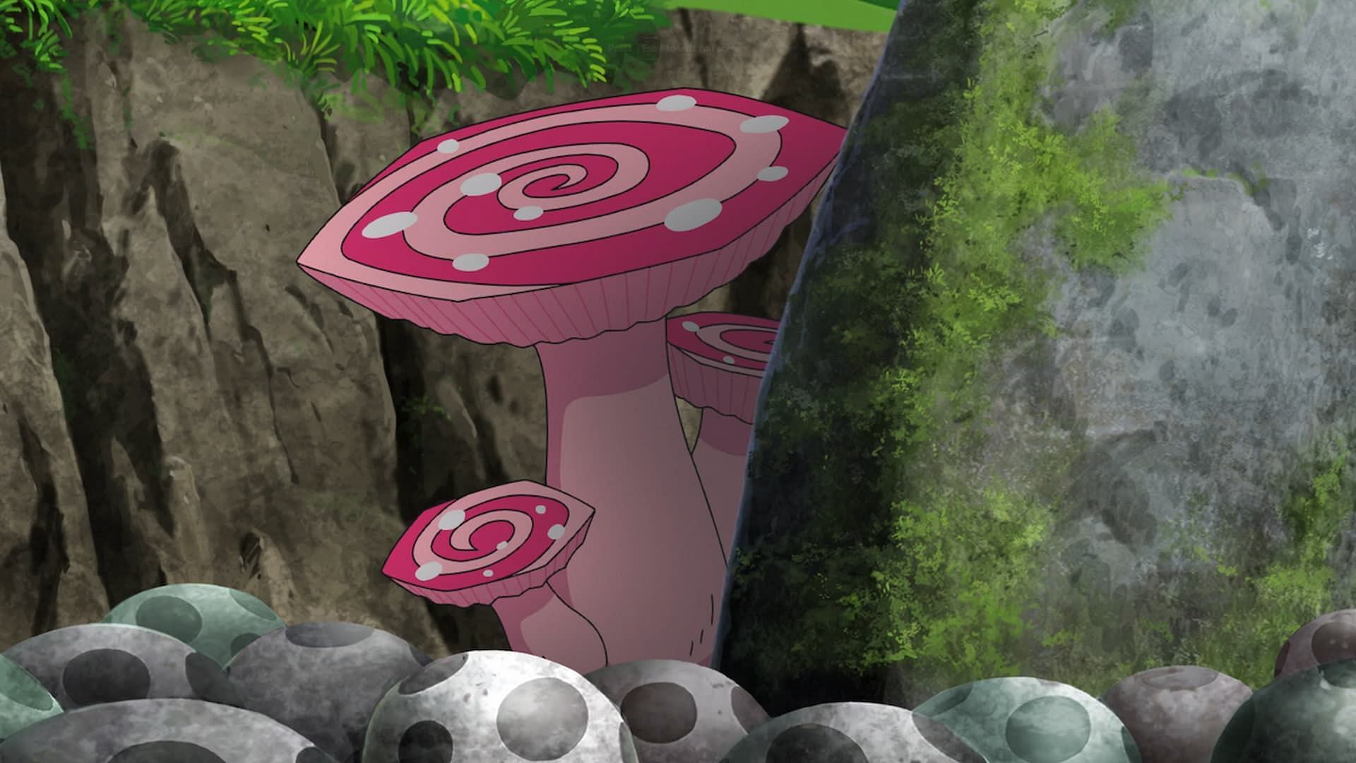 Max Mushrooms as seen in the anime (Image via The Pokemon Company)