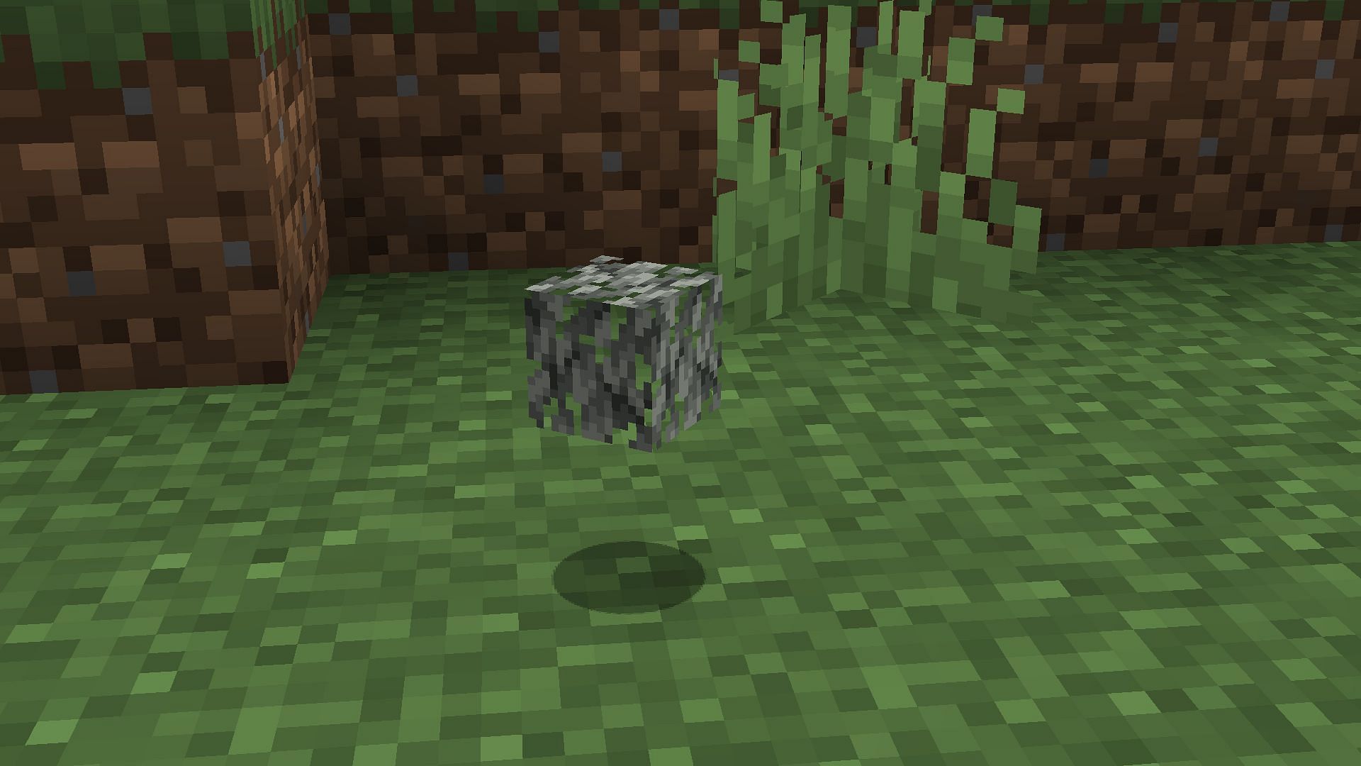 Harvest these leaves using shears (Image via Mojang Studios)