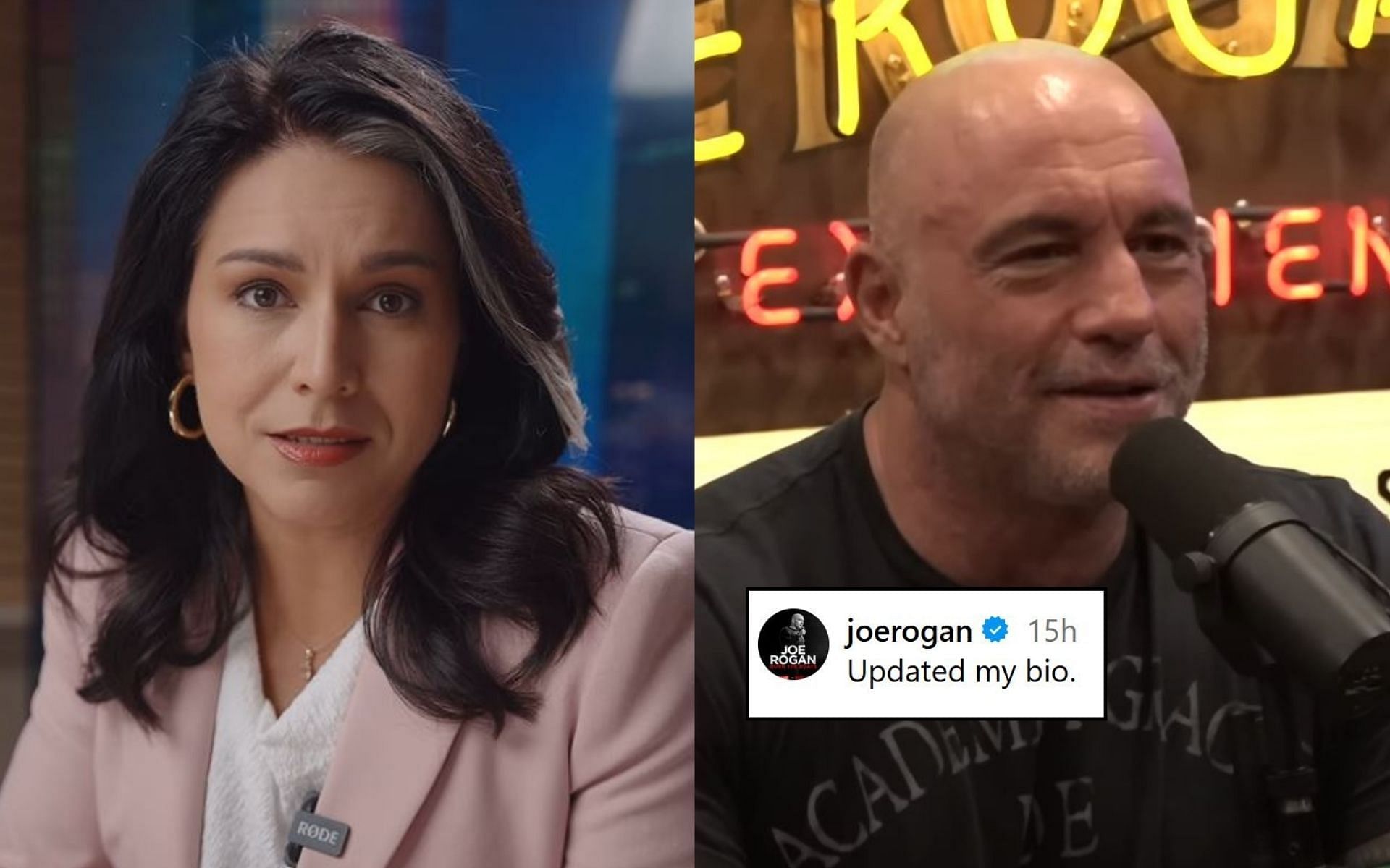 Tulsi Gabbard (left) reacted to Joe Rogan (right) changing his Instagram bio. [Image credit: @tulsigabbard, @joerogan on Instagram, Joe Rogan Experience on YouTube]