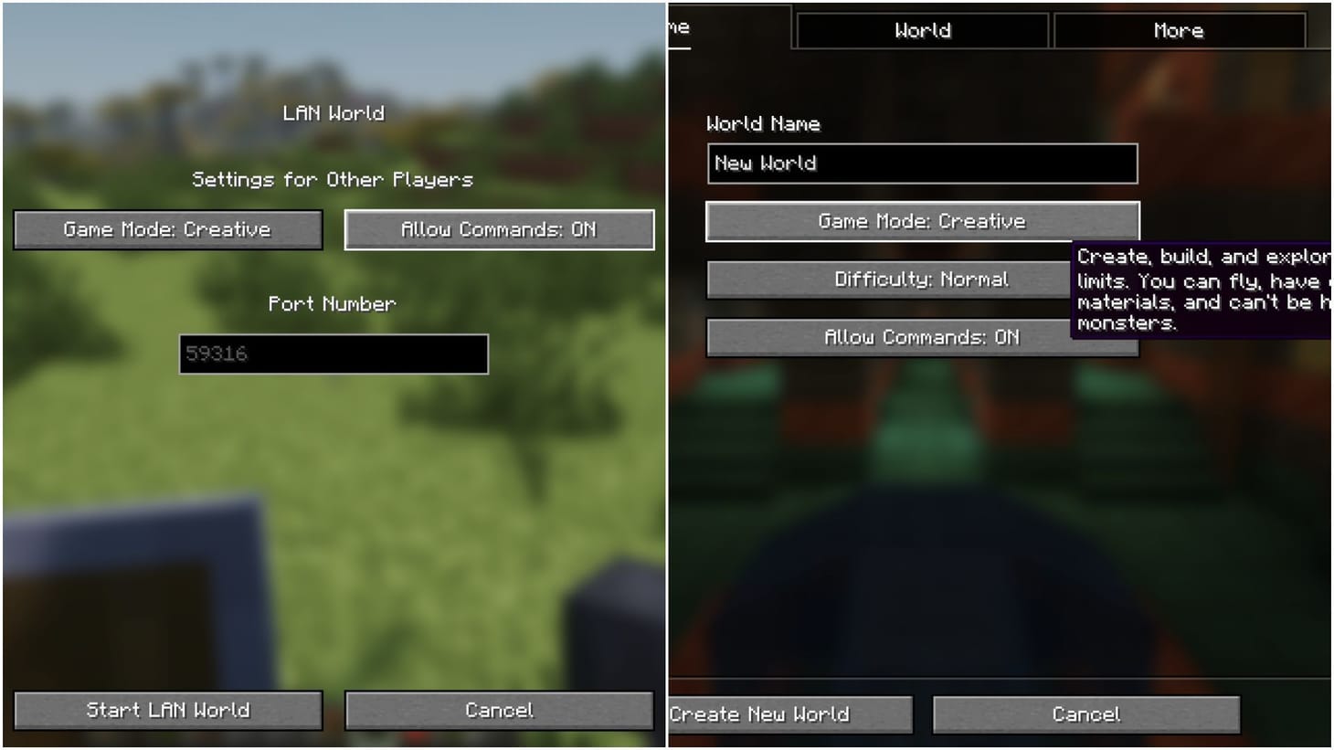 How to get outside the world border in Minecraft