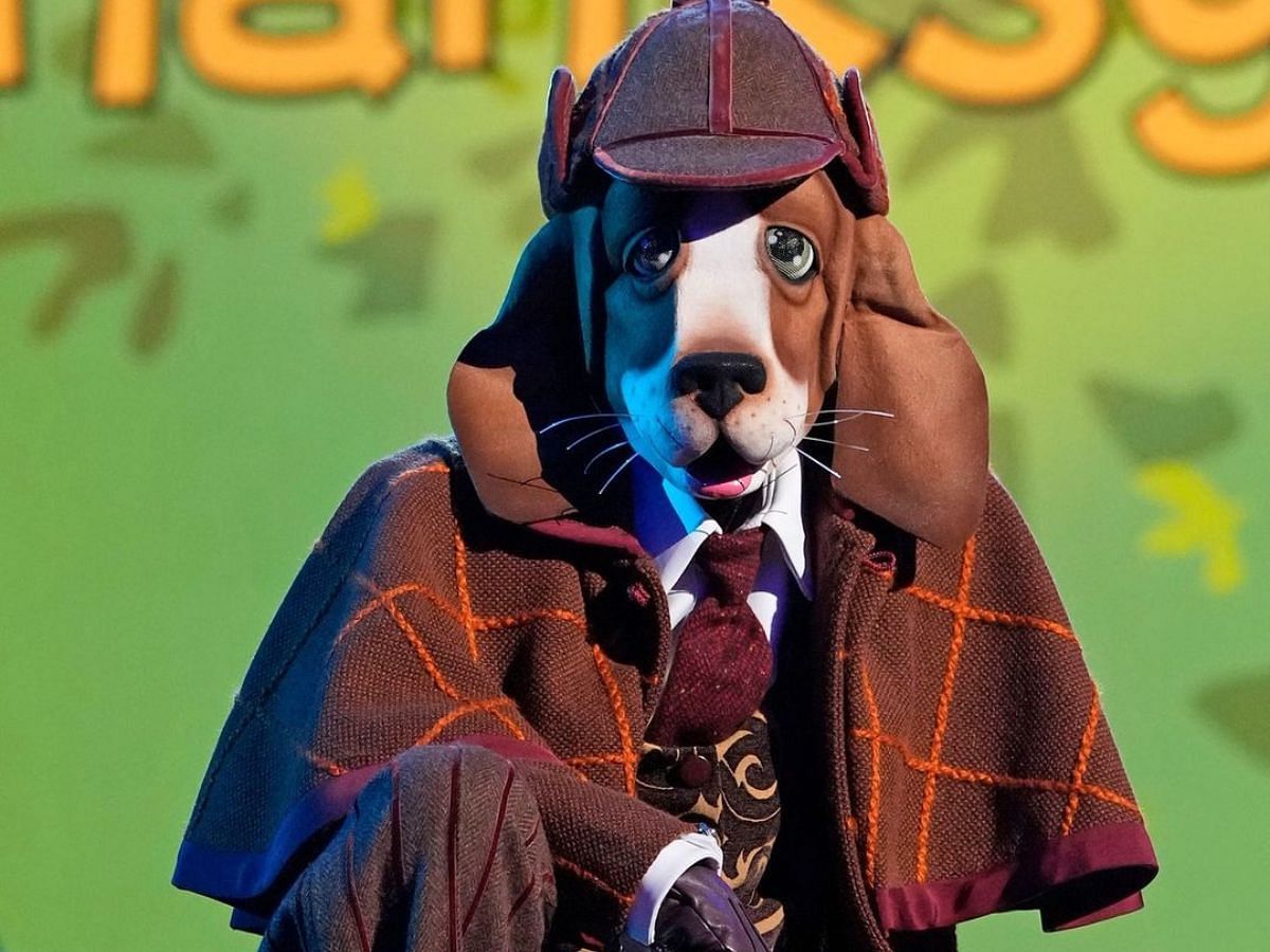 The Sherlock Hound from The Masked Singer season 12 (Image via Instagram/@maskedsingerfox)