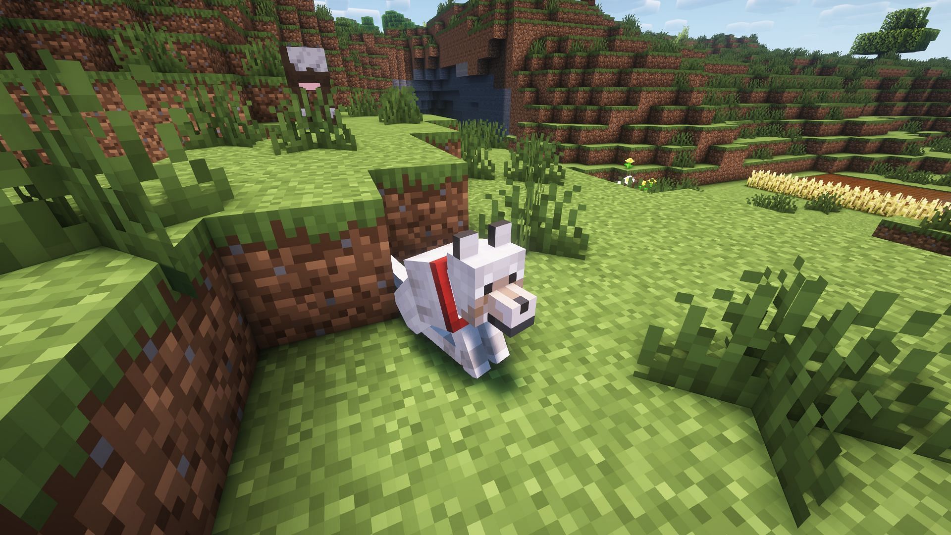 Tamed pets like wolves, cats, and parrots can teleport to their master when they are standing (Image via Mojang Studios)