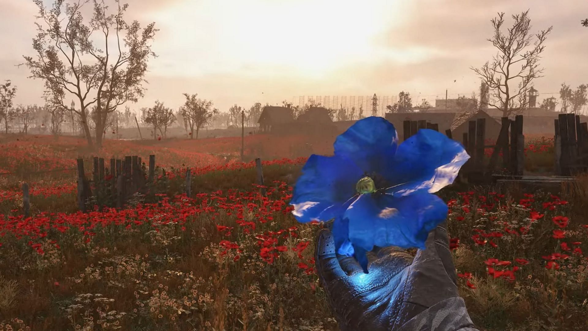 Get this legendary artifact from poppy fields in Stalker 2 (Image via GSC Game World)