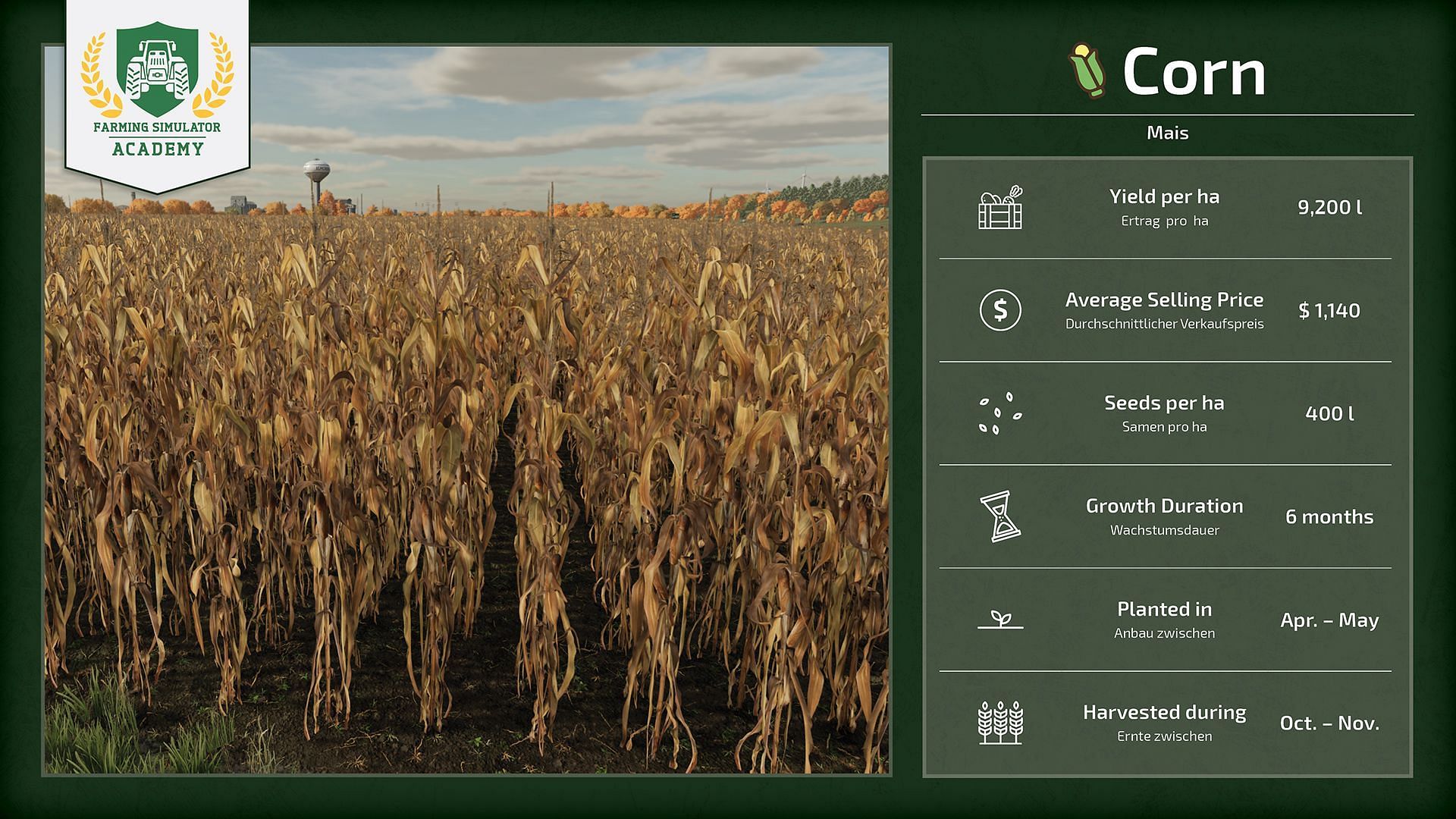 Corn in Farming Simulator 25 (Image via Giants Software)