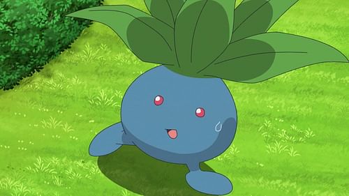 Oddish as seen in the anime (Image via The Pokemon Company)