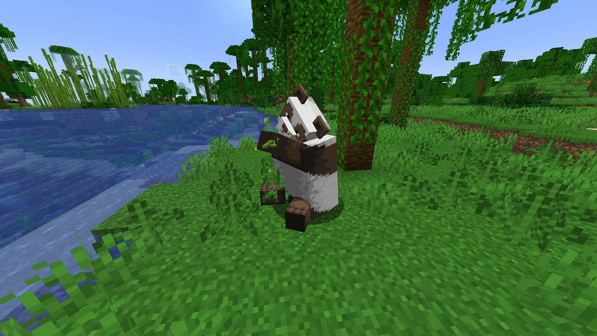 Brown Panda has a rare chance of spawning naturally (Image via Mojang Studios)