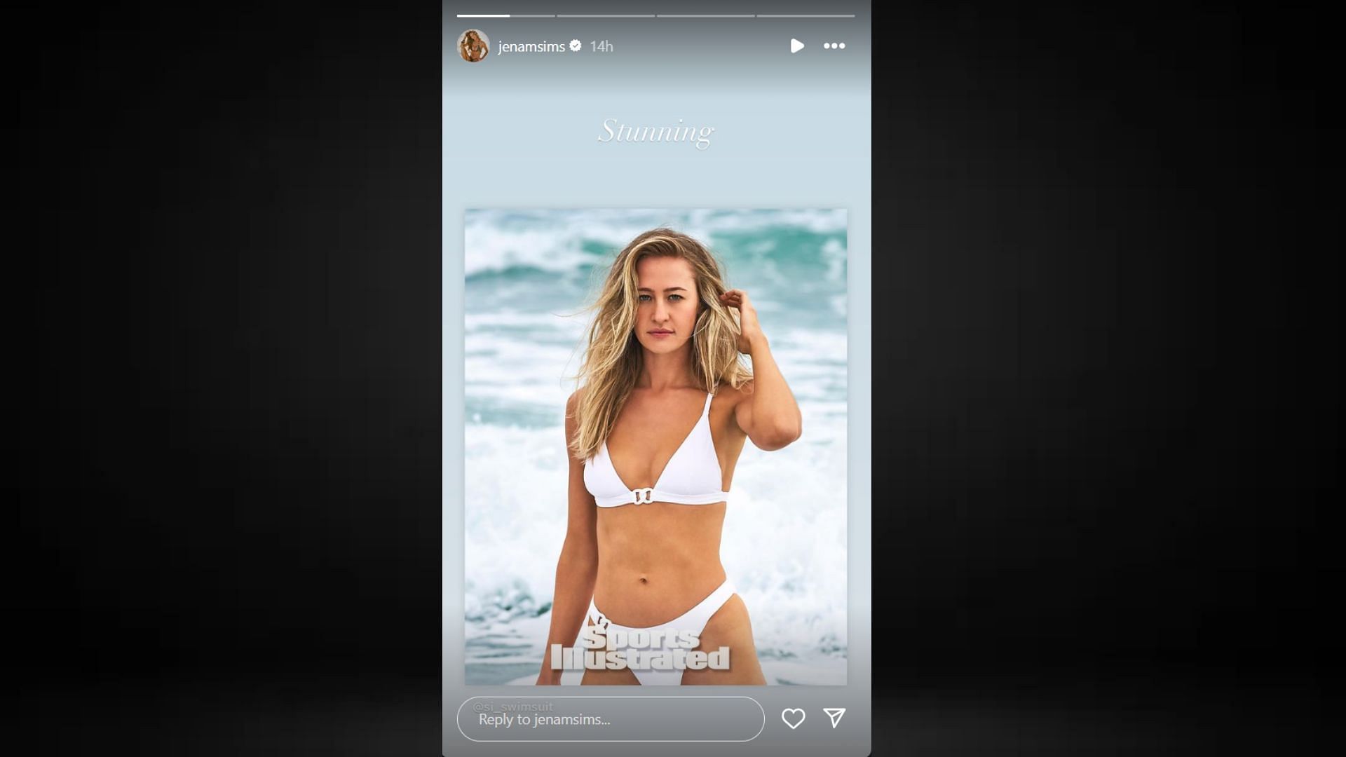 Screenshot of Jena Sims&#039; Instagram Story (Images via E