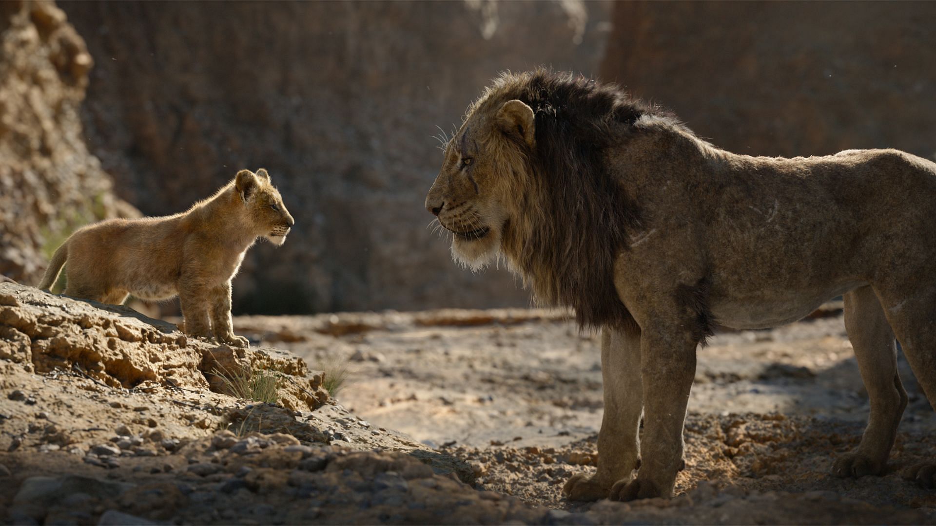 a still from The Lion King (image via Disney)