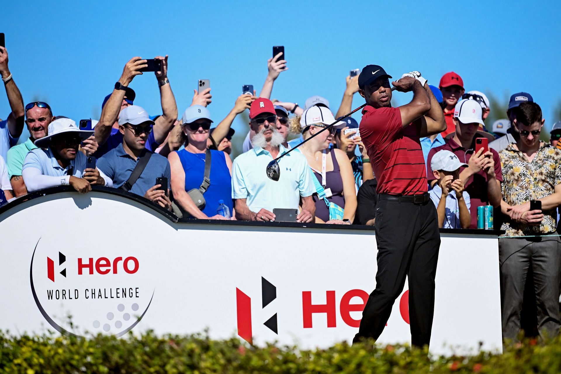 Why did Tiger Woods withdraw from the 2024 Hero World Challenge?