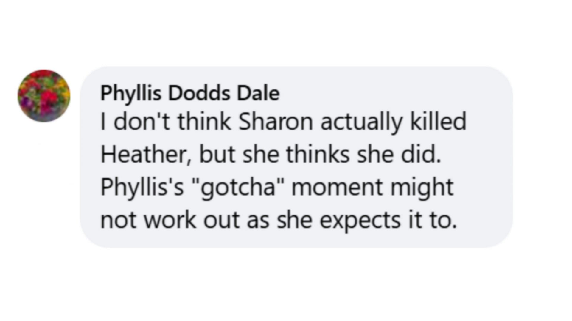 A fan on whether Sharon might have actually been responsible for Heather&#039;s murder on the soap (Image via The Young and the Restless / Facebook)