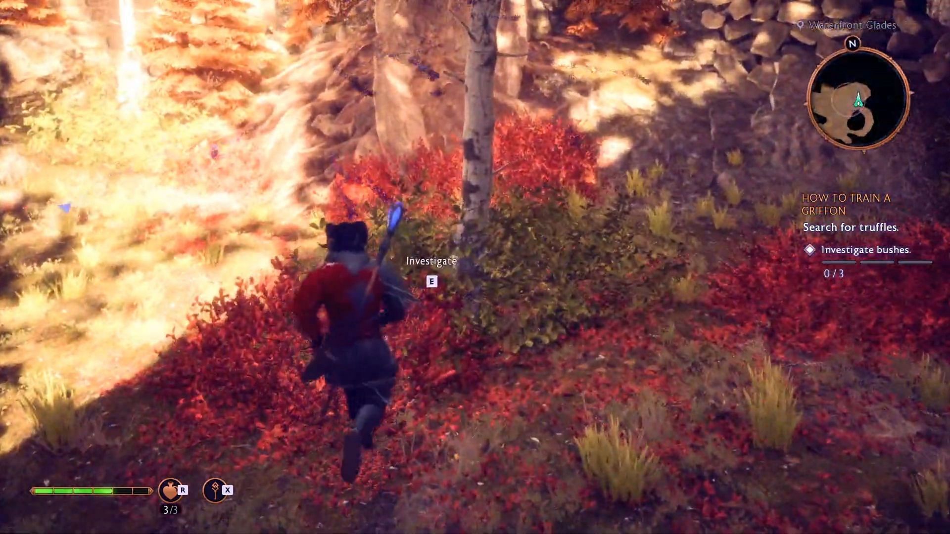 The search in the bushes for truffles is fruitless (Image via EA/Youtube@ZaFrostPet)