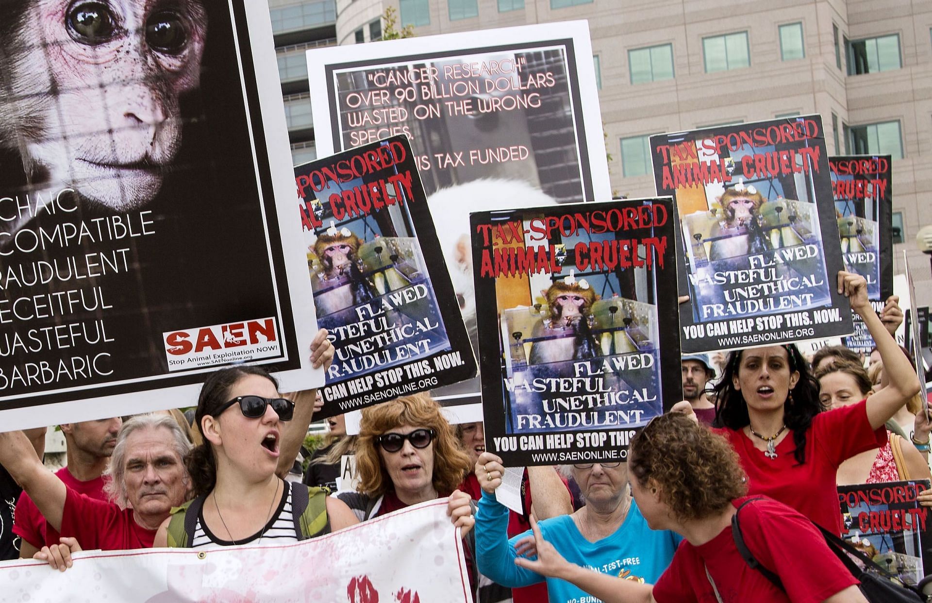 WESTWOOD, CA - JULY 15, 2014 - Animal rights activists, organized by S.A.E.N. (Stop Animal Exploitation Now) (Image via Getty)