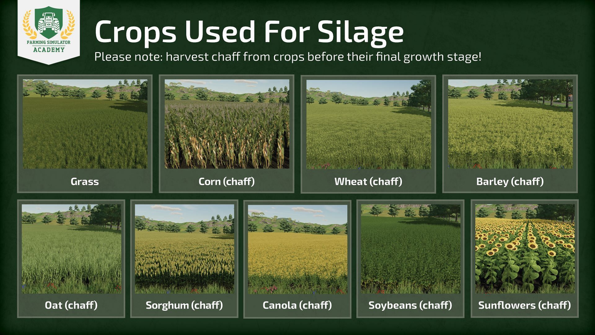 Crops used for Silage (Image via Giants Software)