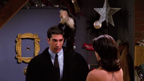 a still from The One with the Monkey (image via Warner Bros. Television)