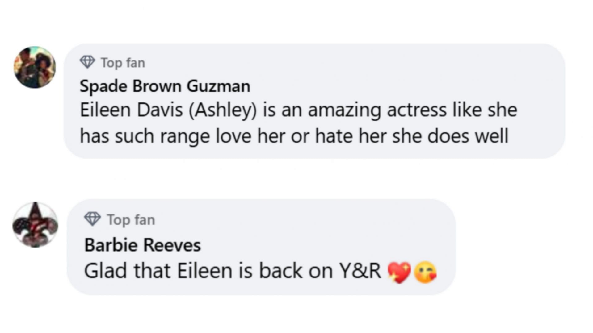 Netizens and their appreciation for Eileen Davidson (via The Young and the Restless / Facebook)