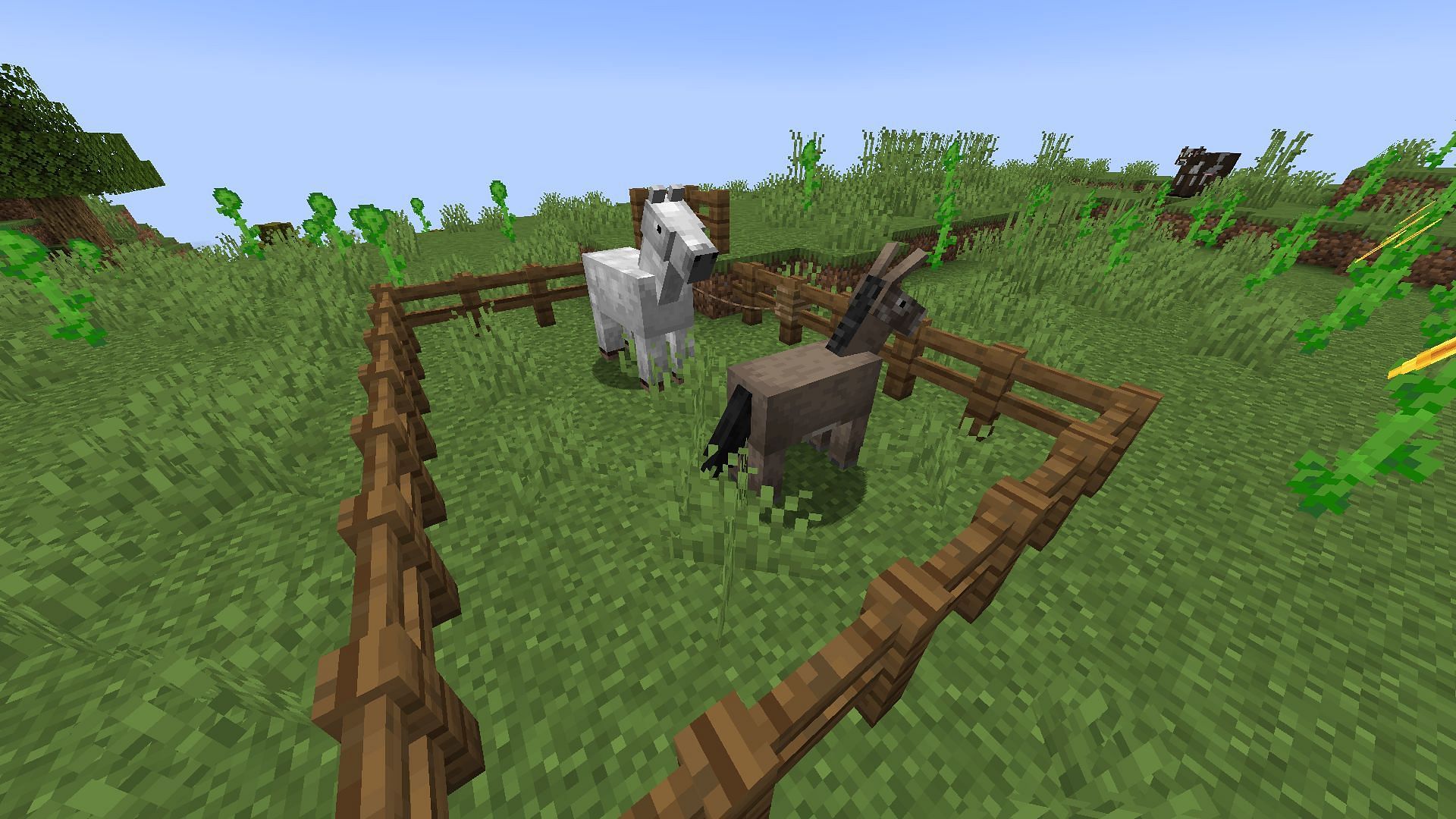 A donkey and a horse in a fenced area (Image via Mojang Studios)