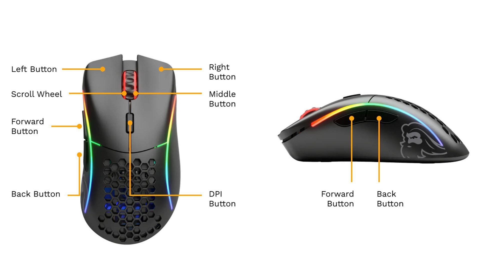 Glorious Model O and Model D mouse buttons (Image via Glorious Gaming)