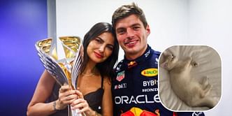 Kelly Piquet shares an adorable picture of her and Max Verstappen's new cat Donatello