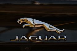 Who owns Jaguar now? Rebrand commercial controversy explained amid mounting backlash