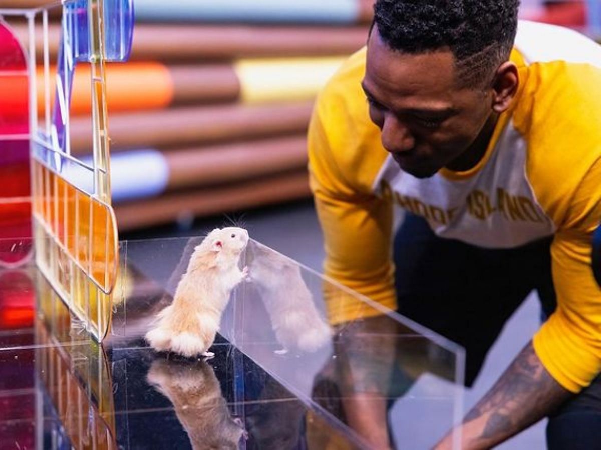 Human Vs. Hamster (Image via Instagram/@asmithcoprod)