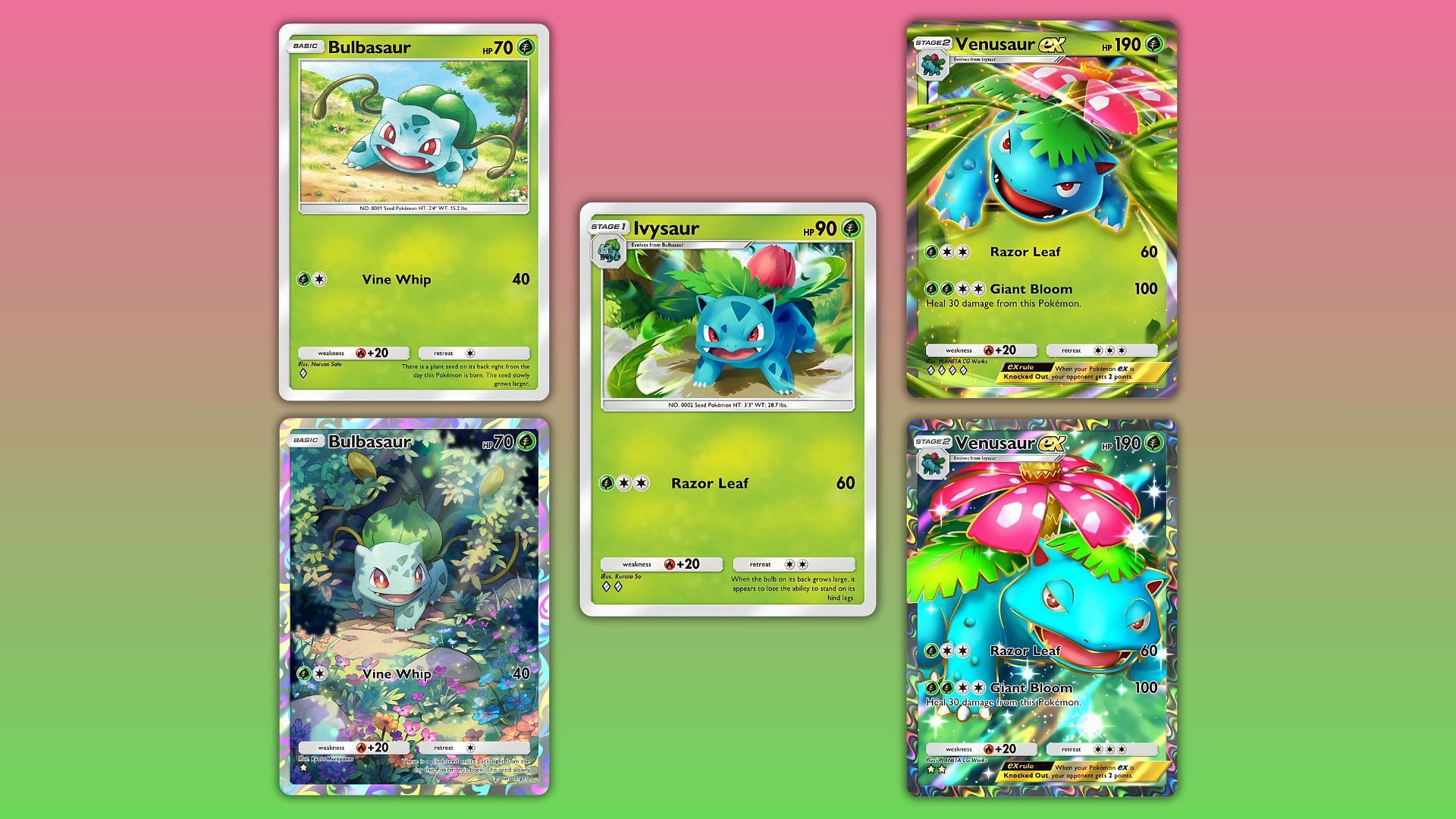 Venusaur ex&#039;s evolution line (Image via The Pokemon Company)