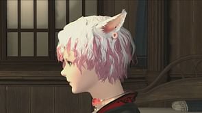 Final Fantasy XIV's new 7.1 hairstyle controversy, explained