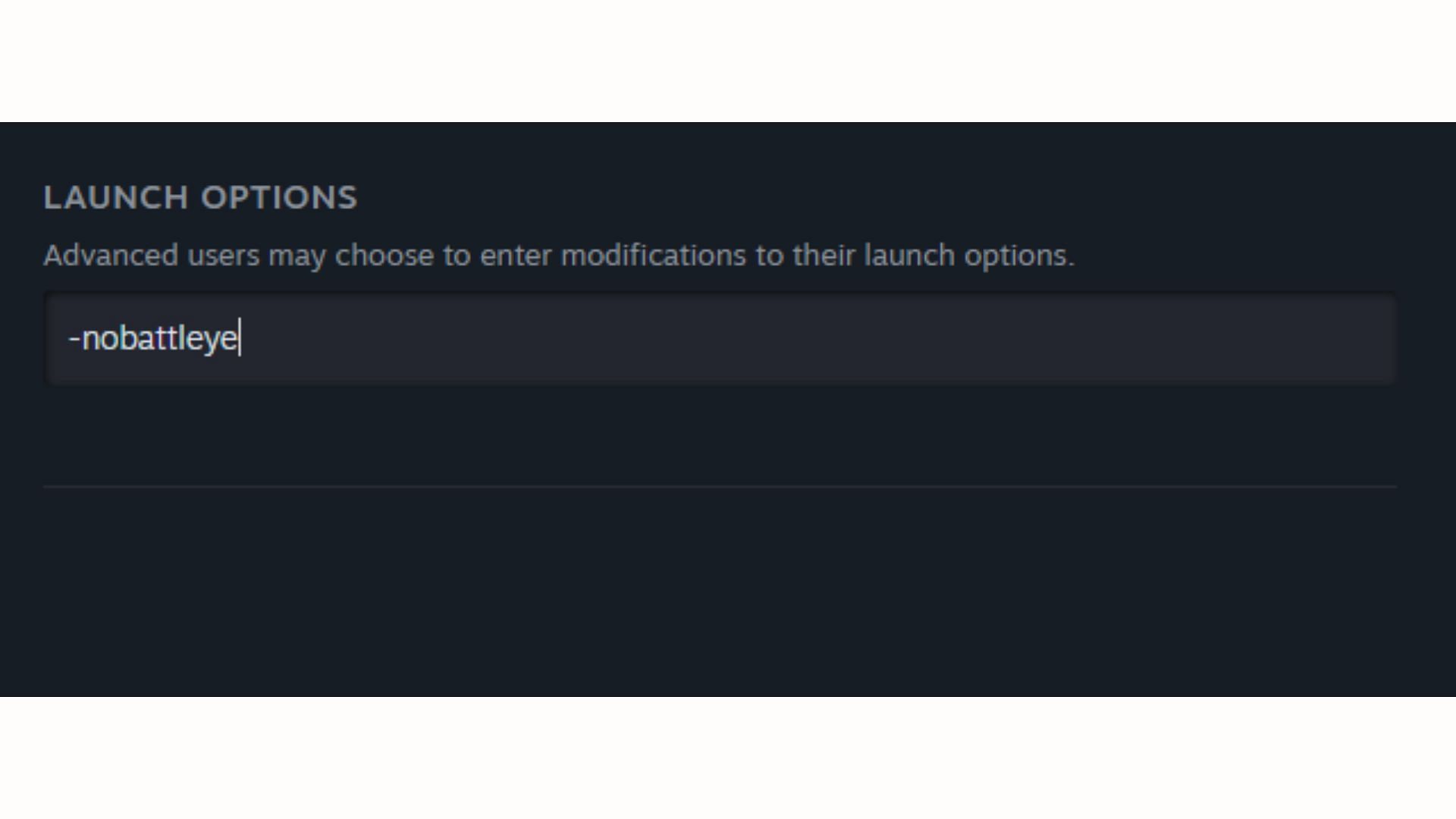 Type this in the Steam Launch Options box (Image via Steam)