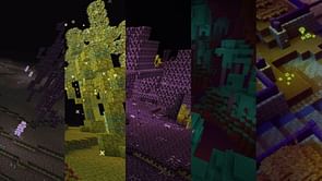 Minecraft: 5 biomes that can be added to the End in the next update