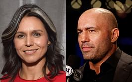 Joe Rogan gives honest take on Tulsi Gabbard, spills the secret behind her "crazy" white streak: "She was helping people that got blown up"