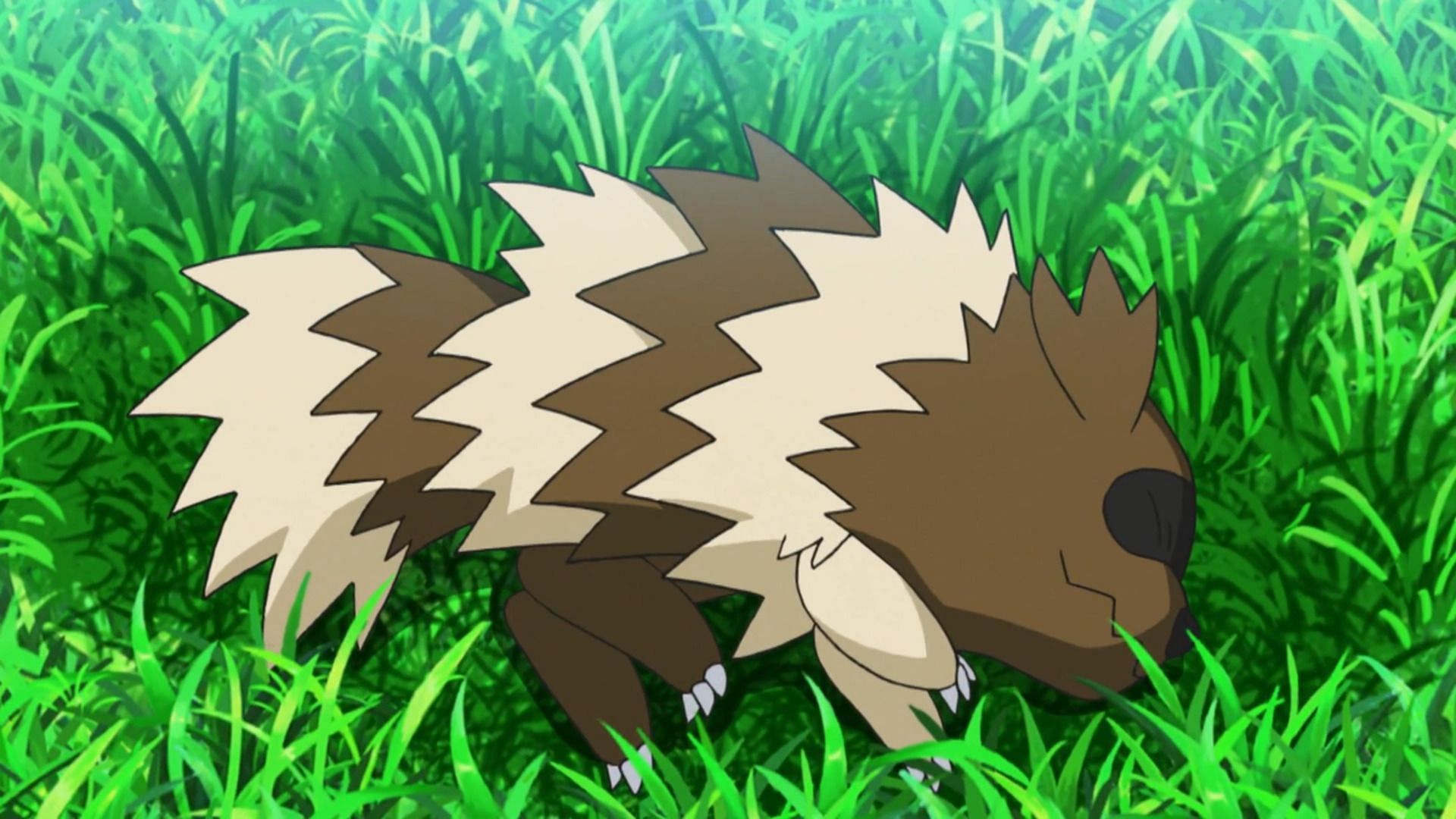 Zigzagoon evolves into Linoone with 50 Zigzagoon candies (Image via The Pokemon Company)