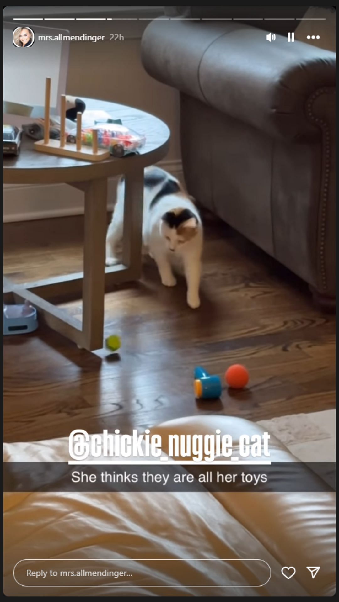 Tara Allmendinger shared Chicken Nugget playing with several toys - Source: @mrs.allmendinger on Instagram