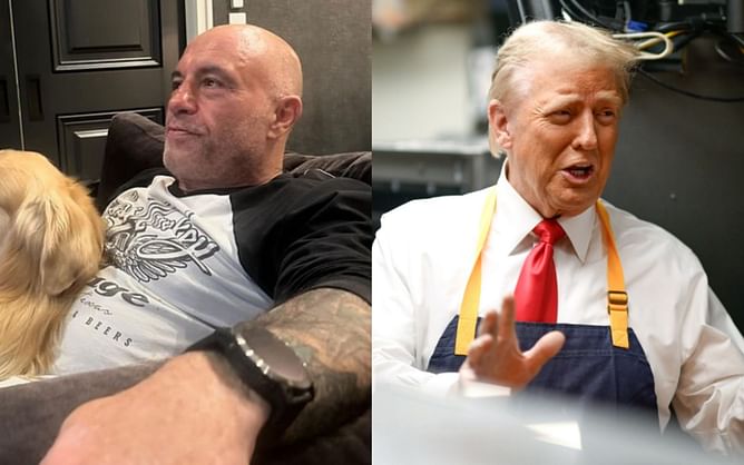 Joe Rogan highlights how fear of backlash silences artists from publicly endorsing Donald Trump: "The country is going in the wrong direction"