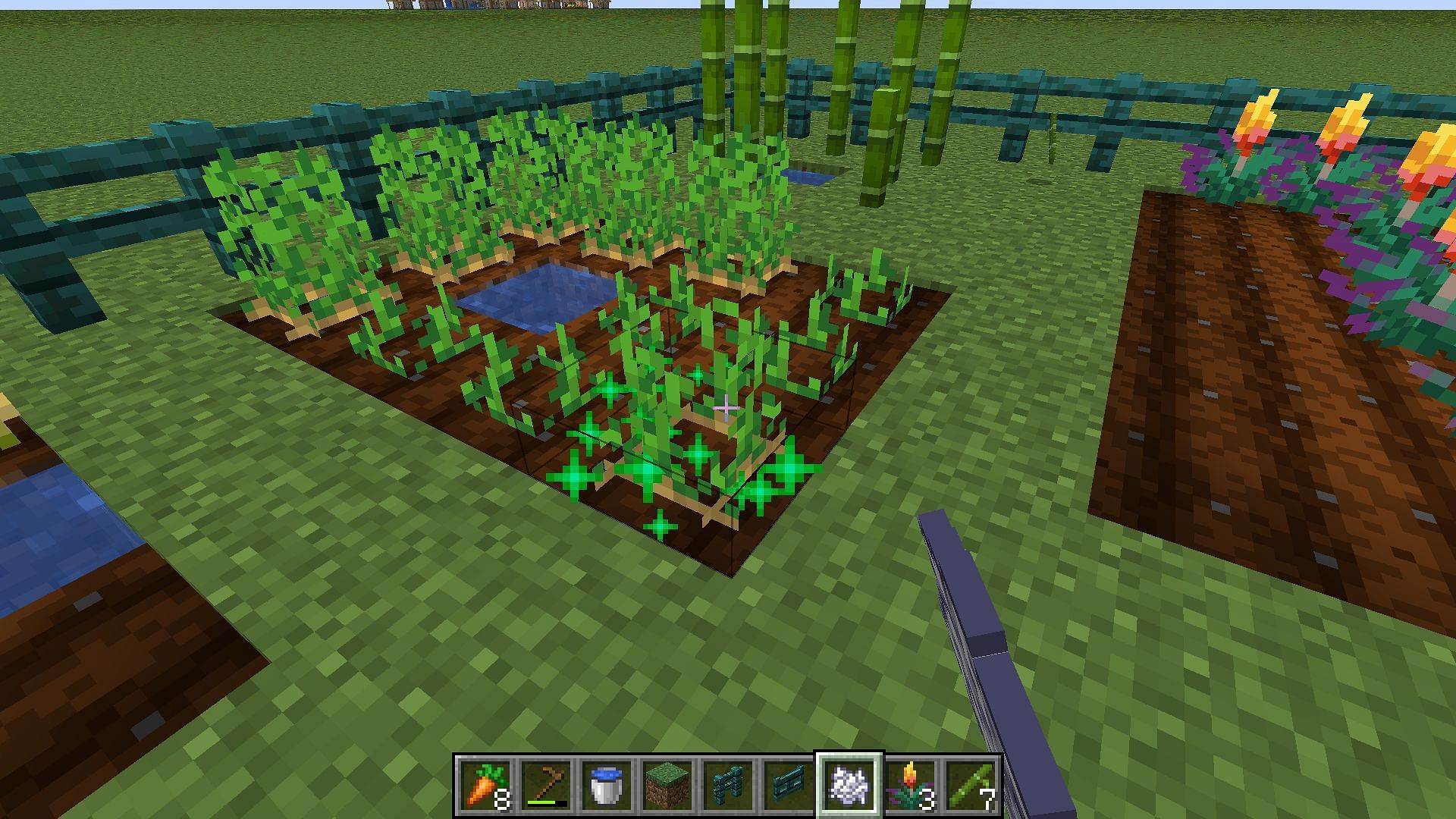 Use bone meal and torches to boost crop growth (Image via Mojang Studios)